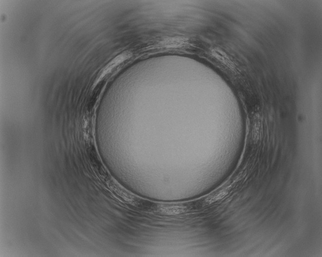 X0000057101258200509301608