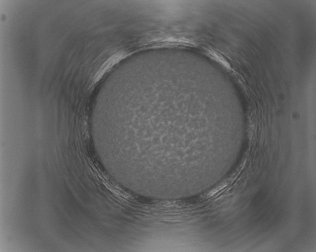 X0000057101259200509301608