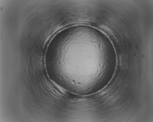 X0000057101260200509301608