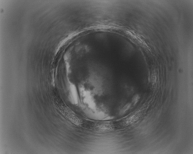 X0000057101262200509301608