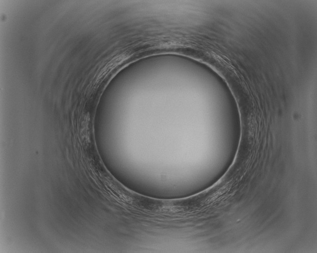 X0000057101265200509301607