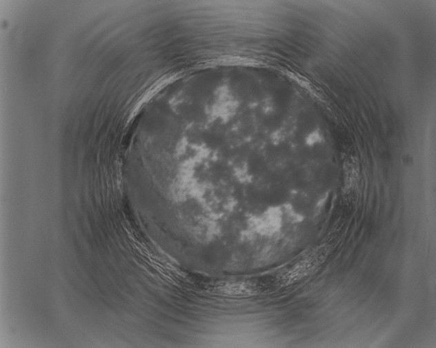 X0000057101266200509301607