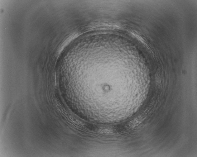 X0000057101267200509301607