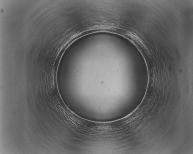 X0000057101268200509301607