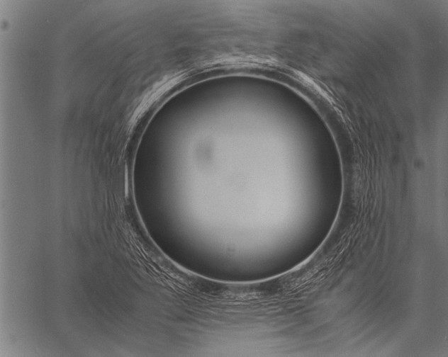 X0000057101269200509301607