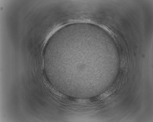 X0000057101271200509301607