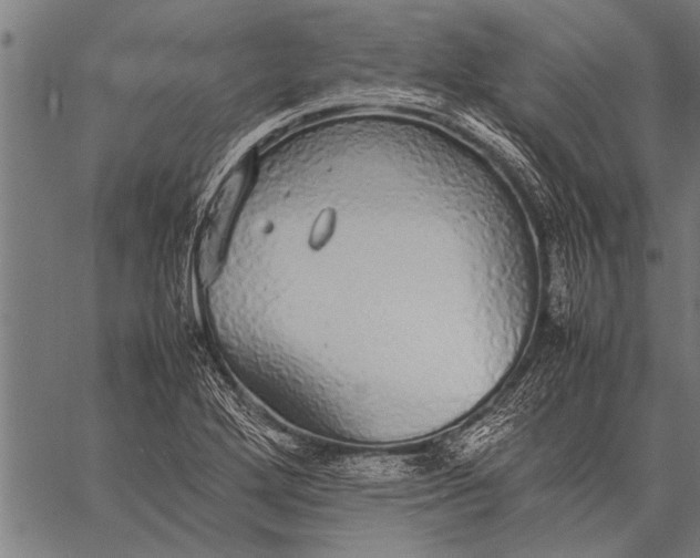 X0000057101272200509301607