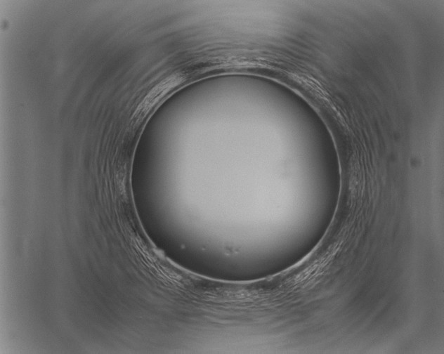 X0000057101273200509301607