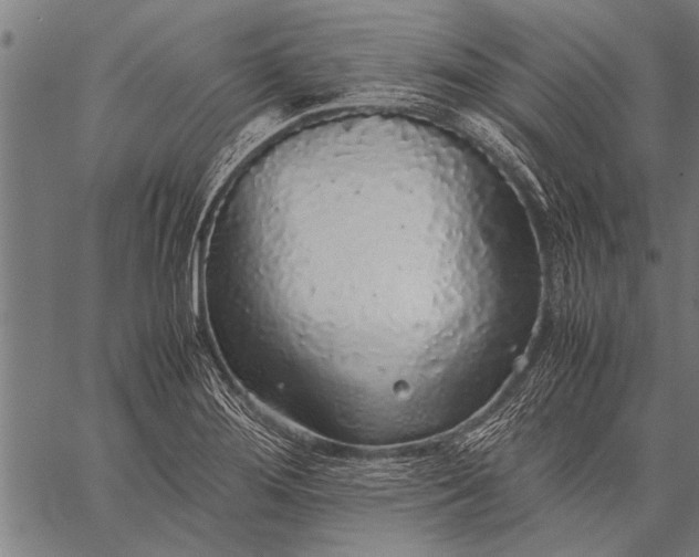 X0000057101276200509301607