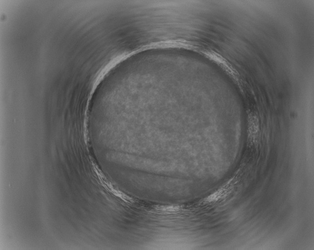 X0000057101278200509301607