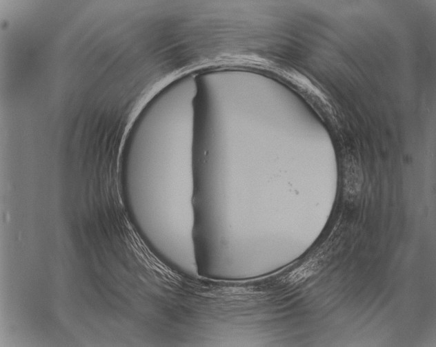 X0000057101280200509301607