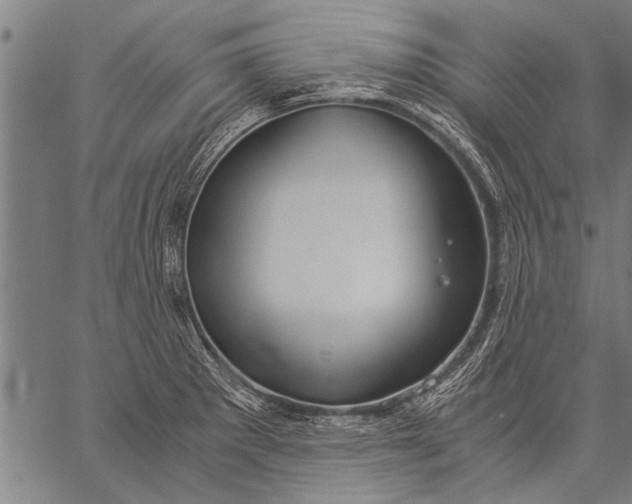 X0000057101281200509301607