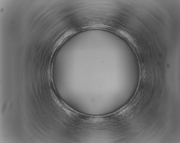 X0000057101282200509301607