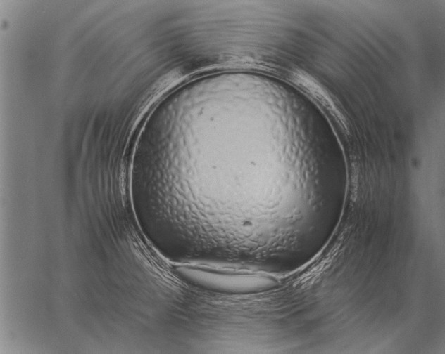 X0000057101284200509301607