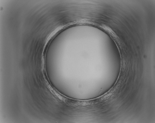 X0000057101286200509301607