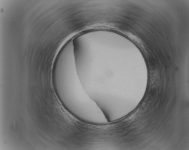 X0000057101288200509301607