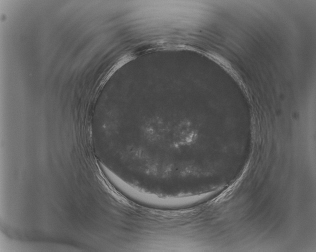 X0000057101289200509301607