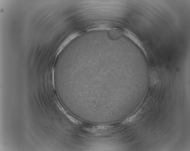 X0000057101290200509301607