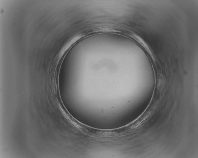 X0000057101293200509301607