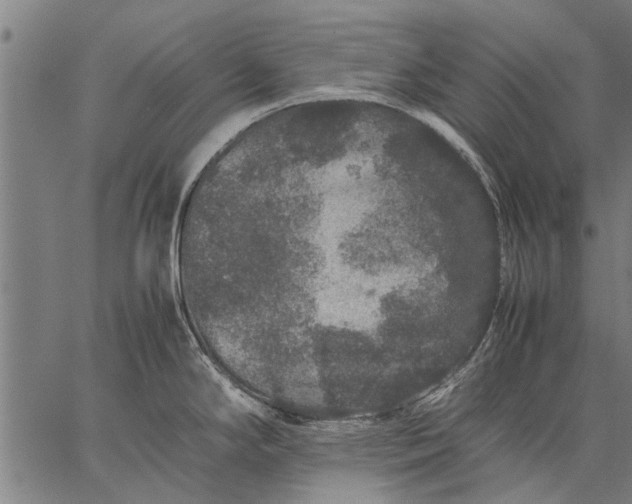 X0000057101294200509301607