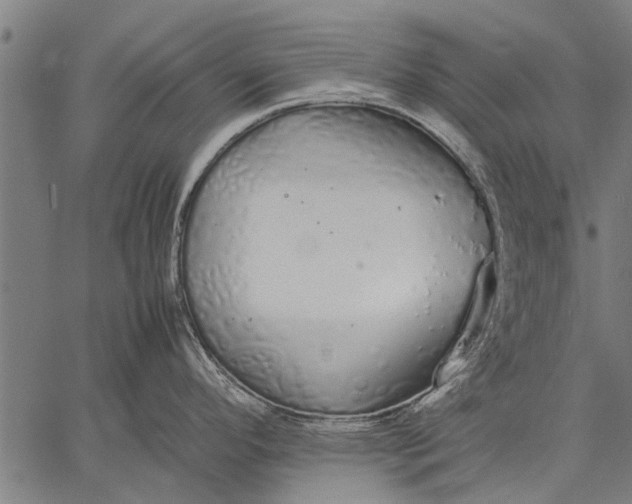 X0000057101296200509301607