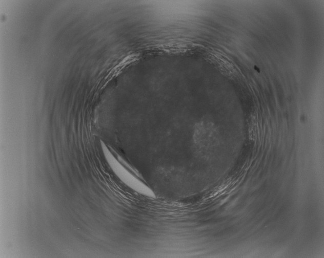 X0000057101298200509301606