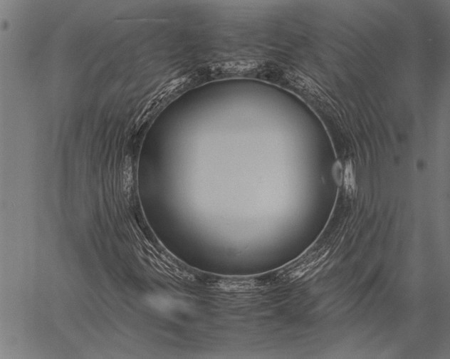 X0000057101299200509301606