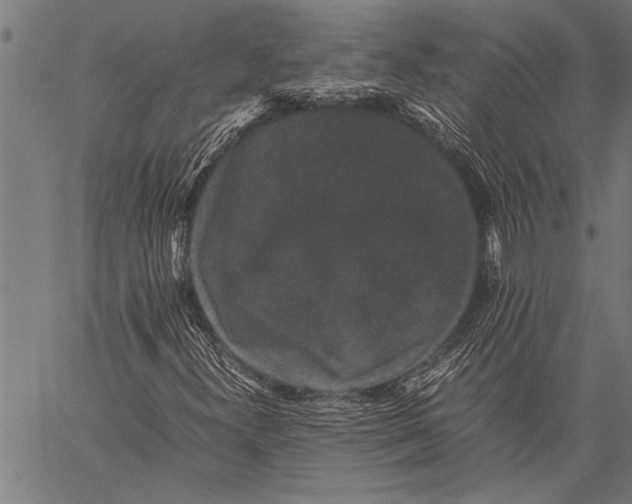 X0000057101300200509301606