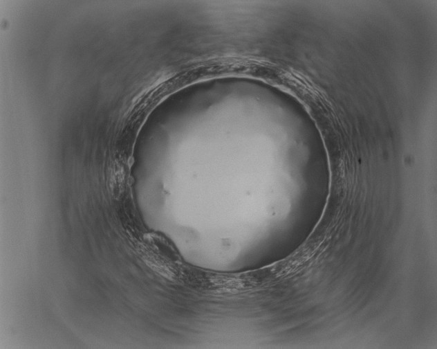 X0000057101302200509301606