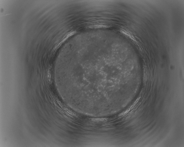 X0000057101305200509301606