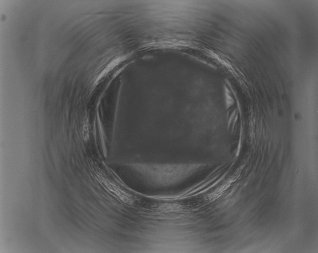 X0000057101306200509301606