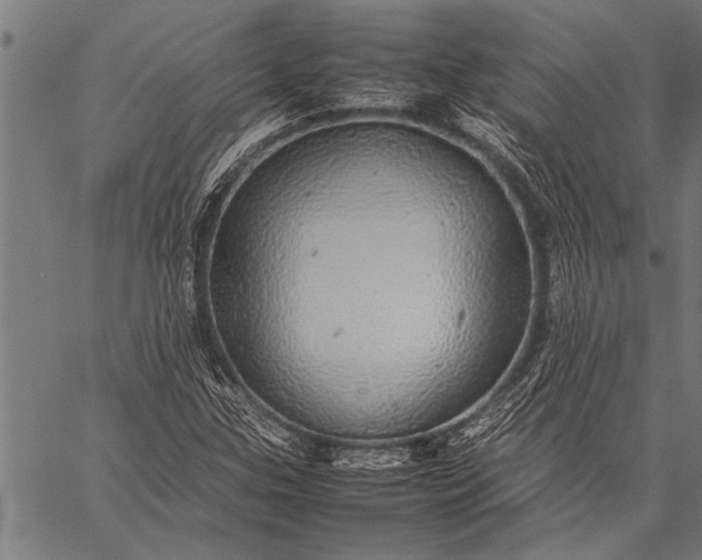 X0000057101307200509301606