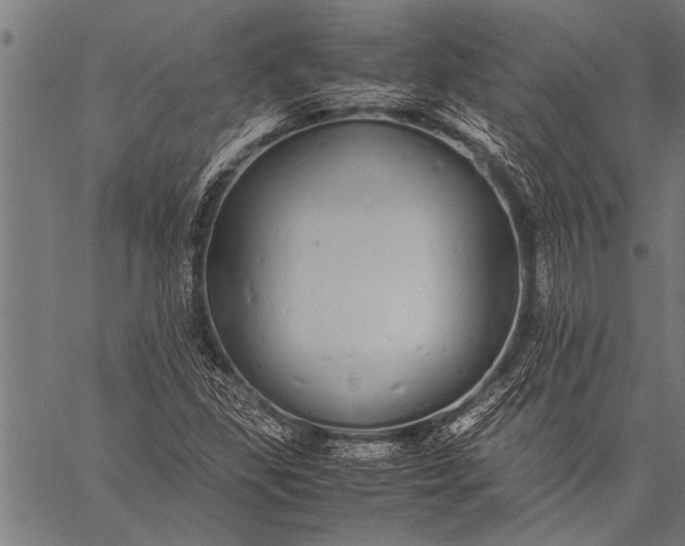 X0000057101309200509301606