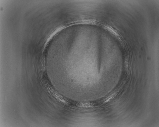 X0000057101310200509301606