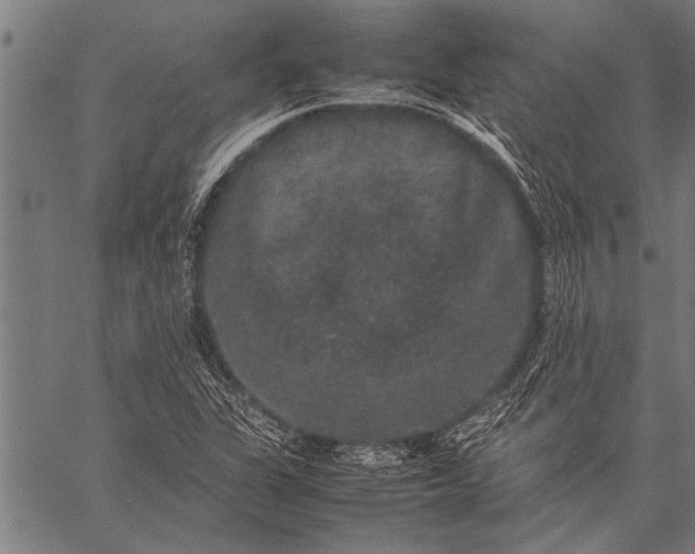 X0000057101311200509301606