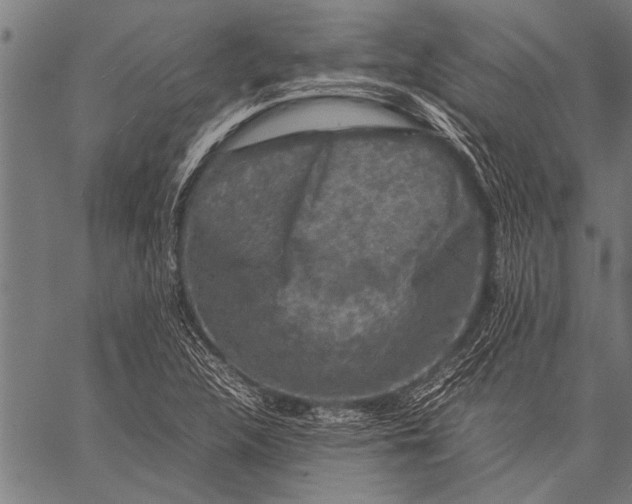 X0000057101312200509301606