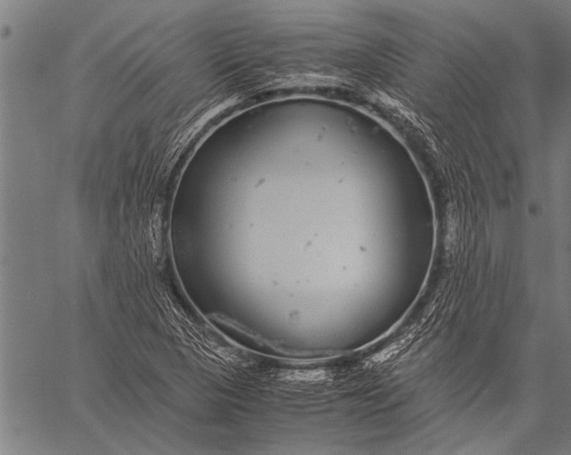 X0000057101313200509301606