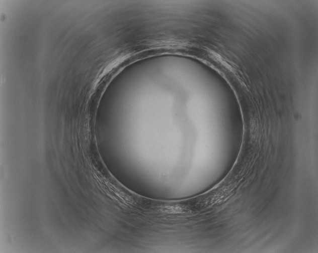 X0000057101315200509301606