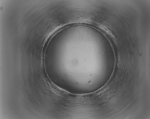 X0000057101316200509301606