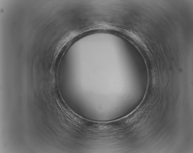 X0000057101318200509301607