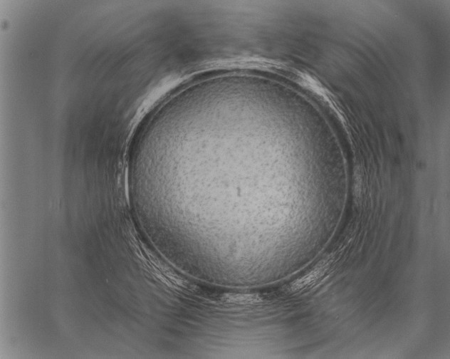 X0000057101320200509301607