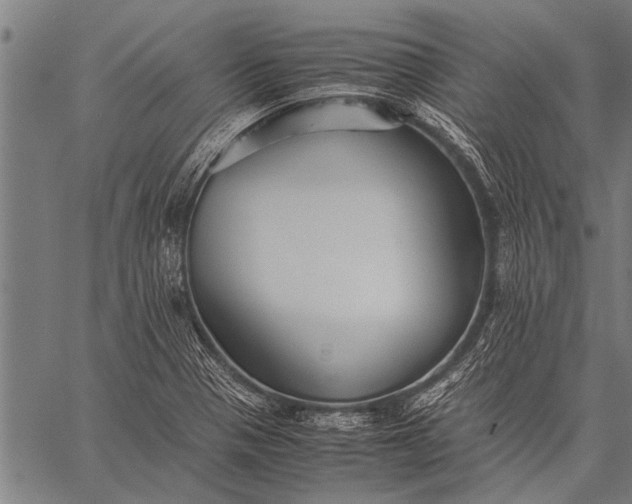 X0000057101321200509301607