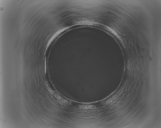 X0000057101323200509301607