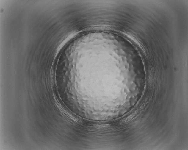 X0000057101325200509301607