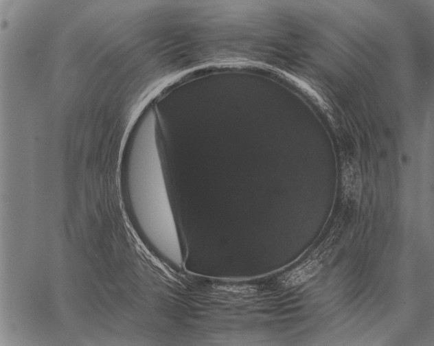 X0000057101327200509301607