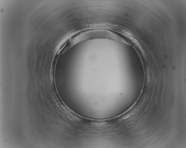 X0000057101328200509301607