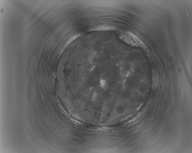 X0000057101329200509301607