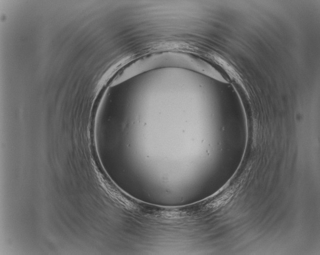 X0000057101330200509301607