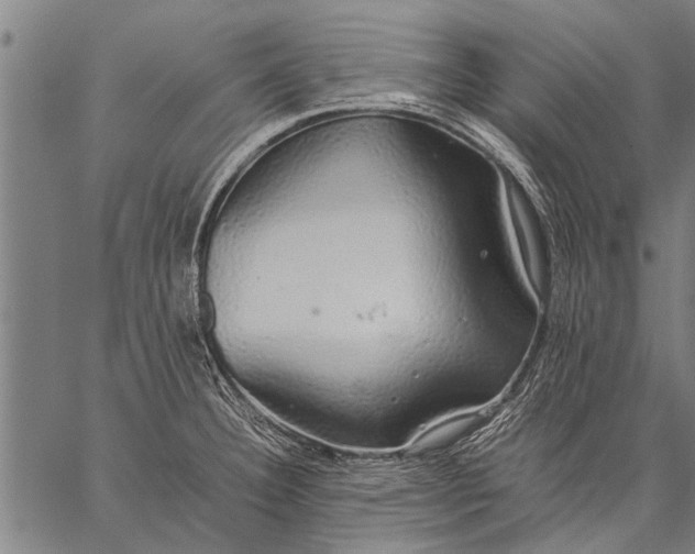 X0000057101332200509301607