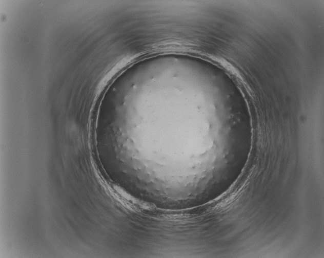 X0000057101333200509301607